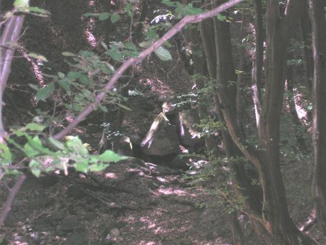 meredek.jpg meredek.jpg