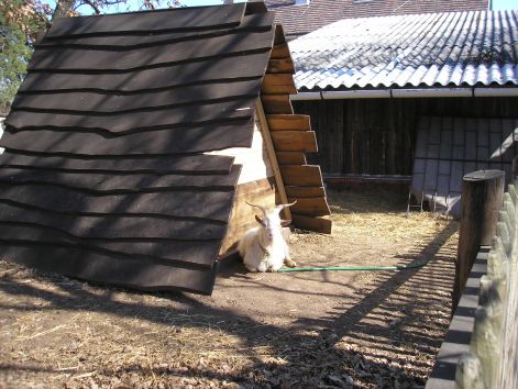 napfurdo.jpg napfurdo.jpg