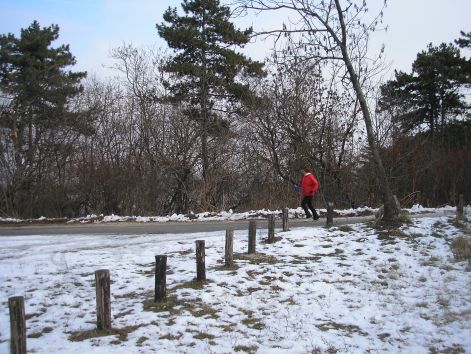 nehanyan_kimozdultak.jpg nehanyan_kimozdultak.jpg