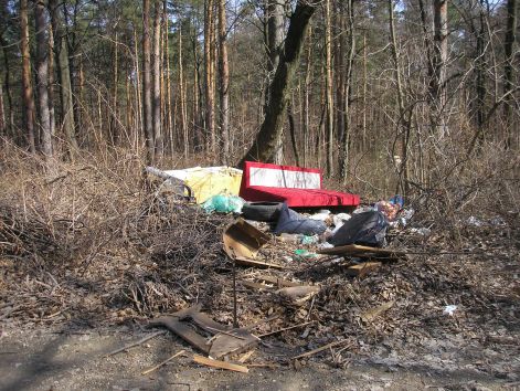 nehogy_szemlet_nelkul_legyen_az_erdo.jpg nehogy_szemlet_nelkul_legyen_az_erdo.jpg