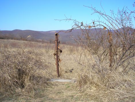 nem_csipke_rongyika_varbejarata.jpg nem_csipke_rongyika_varbejarata.jpg