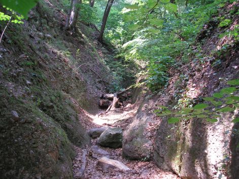 nem_unalmas.jpg nem_unalmas.jpg