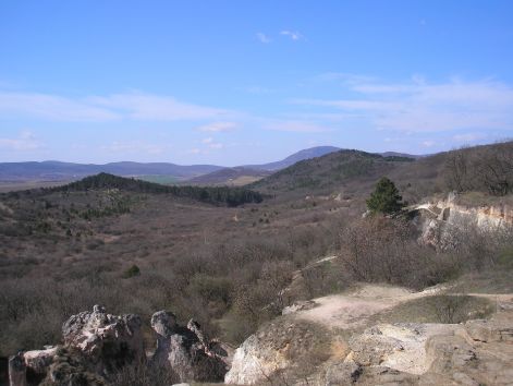 onnan_szembol_a_zsiroshegyrol_erkeztem.jpg onnan_szembol_a_zsiroshegyrol_erkeztem.jpg