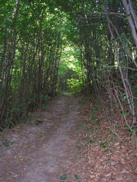 osvenyen_le.jpg osvenyen_le.jpg