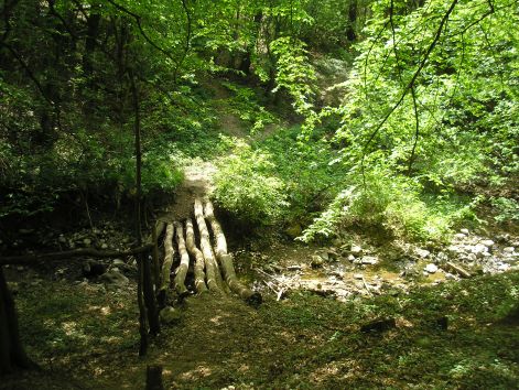 p5011979_patakos.jpg p5011979_patakos.jpg