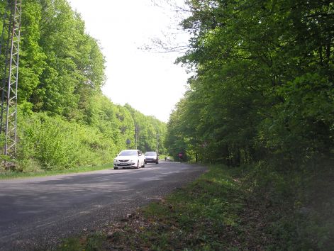 p5011980_a_ket_bukkfa_fele.jpg p5011980_a_ket_bukkfa_fele.jpg