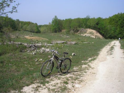 p5011981pilisteto_1.jpg p5011981pilisteto_1.jpg