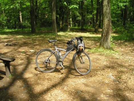 p5041984_pihi_1.jpg p5041984_pihi_1.jpg