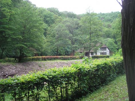 p5181992_vs_fee_a_pap_retrol.jpg p5181992_vs_fee_a_pap_retrol.jpg