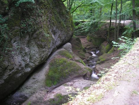 p5181996_ha_esni_fog.jpg p5181996_ha_esni_fog.jpg