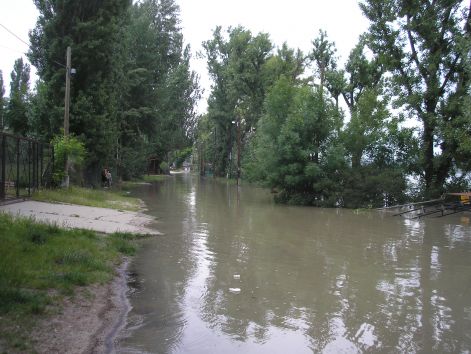 p6052003.jpg p6052003.jpg