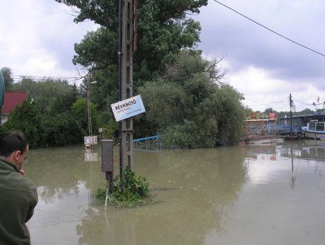 p6052006.jpg p6052006.jpg