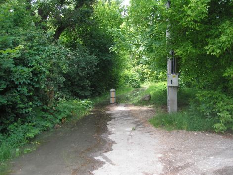 p6052007.jpg p6052007.jpg