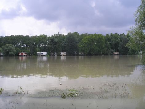 p6052008.jpg p6052008.jpg