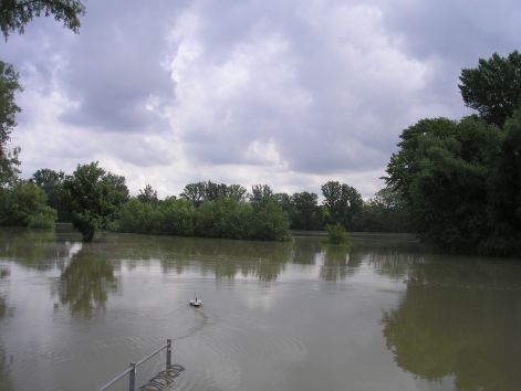 p6052012.jpg p6052012.jpg