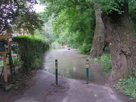 p6052021.jpg p6052021.jpg