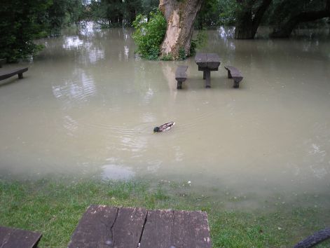 p6052034.jpg p6052034.jpg