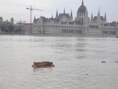 p6072044.jpg p6072044.jpg