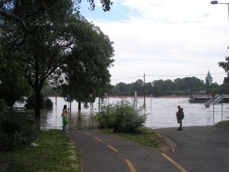 p6072046.jpg p6072046.jpg