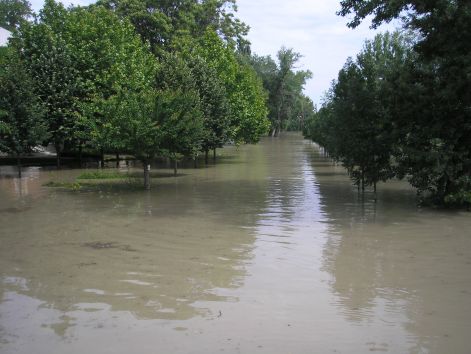 p6072047.jpg p6072047.jpg