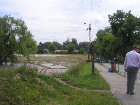 p6072055.jpg p6072055.jpg