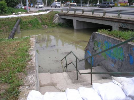 p6072057.jpg p6072057.jpg