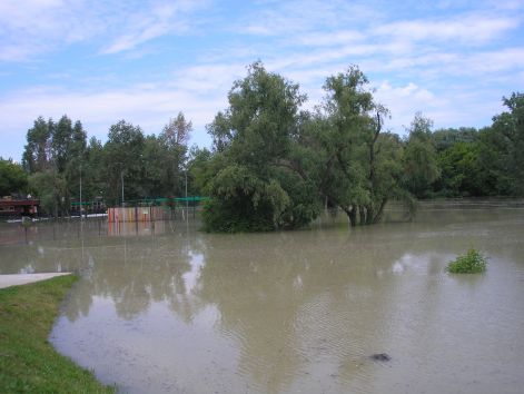 p6072061.jpg p6072061.jpg