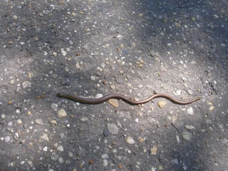 p6082097.jpg p6082097.jpg