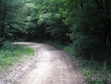 p6082111.jpg p6082111.jpg