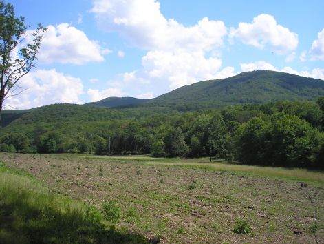 p6082112.jpg p6082112.jpg