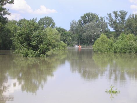 p6082121.jpg p6082121.jpg