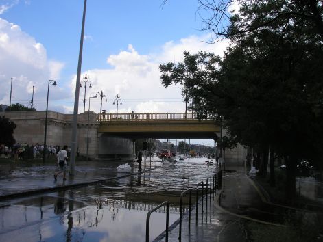 p6082129.jpg p6082129.jpg