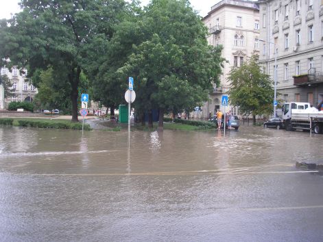 p6082135.jpg p6082135.jpg