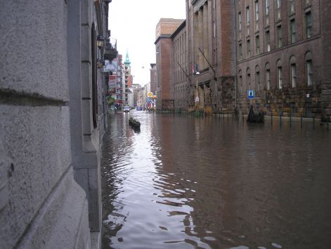 p6082145.jpg p6082145.jpg