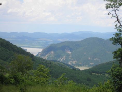 p6102188.jpg p6102188.jpg