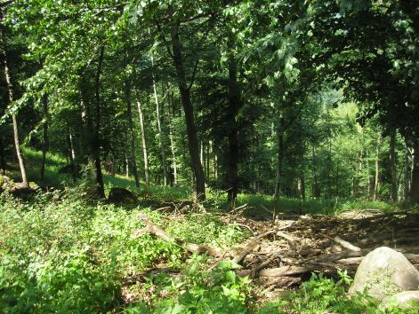 p6102193.jpg p6102193.jpg