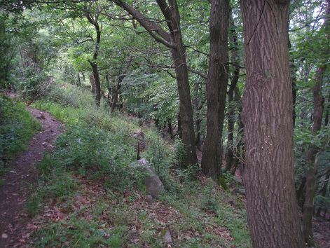 p6102195.jpg p6102195.jpg