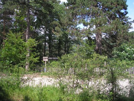 p6102198.jpg p6102198.jpg