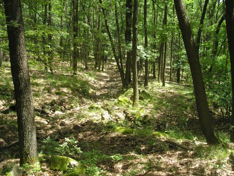 p6122204.jpg p6122204.jpg