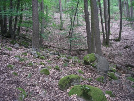 p6122205.jpg p6122205.jpg