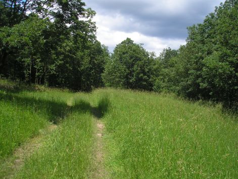 p6122207.jpg p6122207.jpg