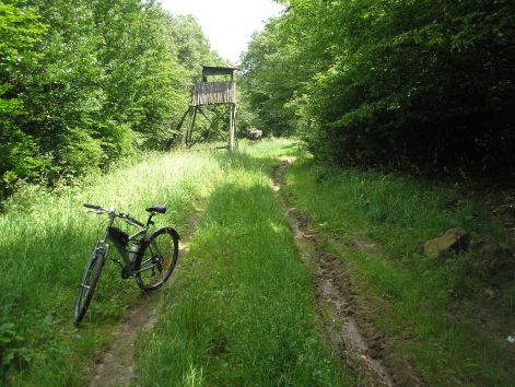 p6122210.jpg p6122210.jpg