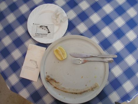 p7032415.jpg p7032415.jpg