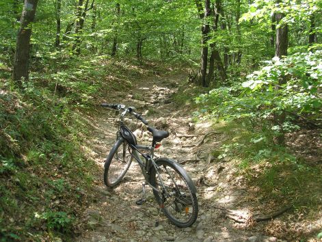 p7052423.jpg p7052423.jpg