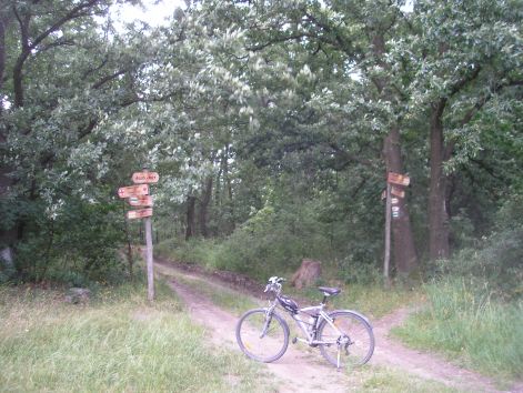 p7052424.jpg p7052424.jpg