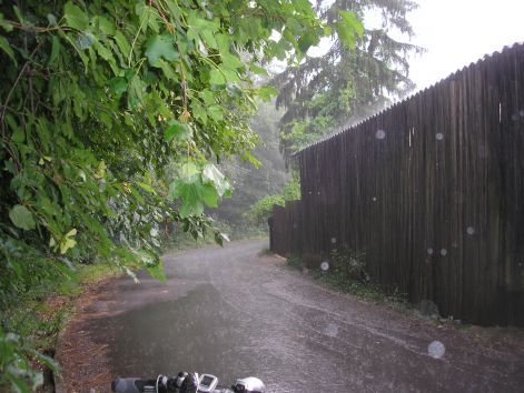 p7052425.jpg p7052425.jpg