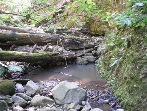 p8022625.jpg p8022625.jpg