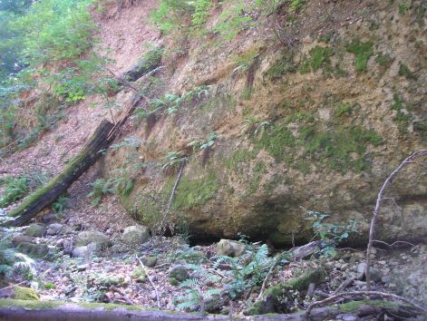 p8022628.jpg p8022628.jpg