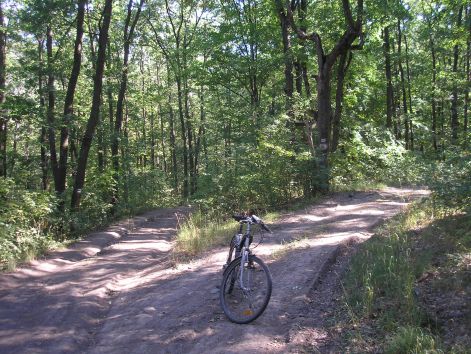 p8022636.jpg p8022636.jpg