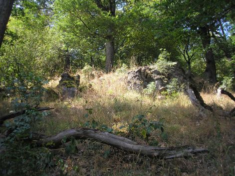 p8162683.jpg p8162683.jpg